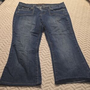 Stylish Women's Blue Cropped Jeans